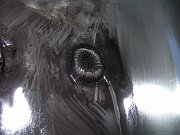 Previous image